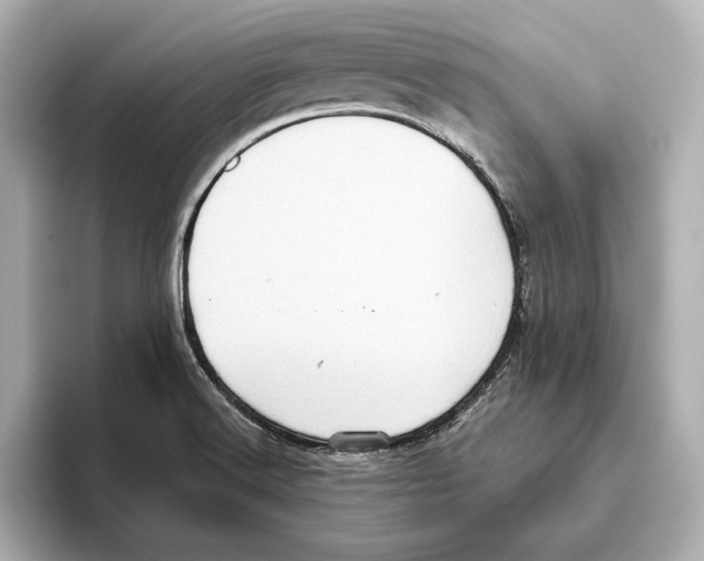 X0000095681516200802051240