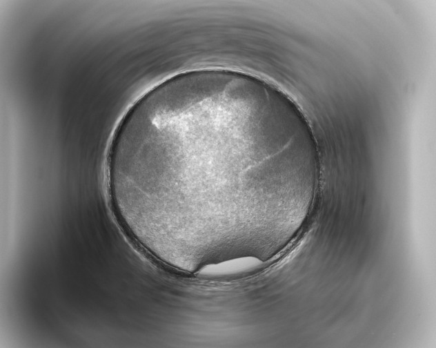 X0000095681517200802051240