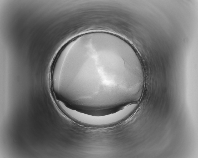 X0000095681519200802051240