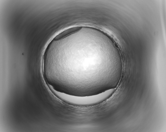 X0000095681520200802051240