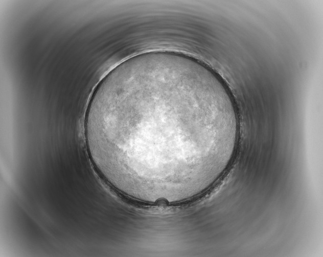 X0000095681521200802051240