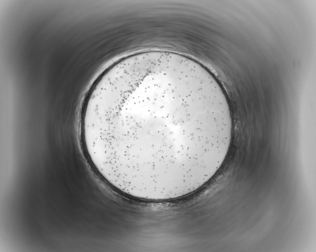 X0000095681523200802051240