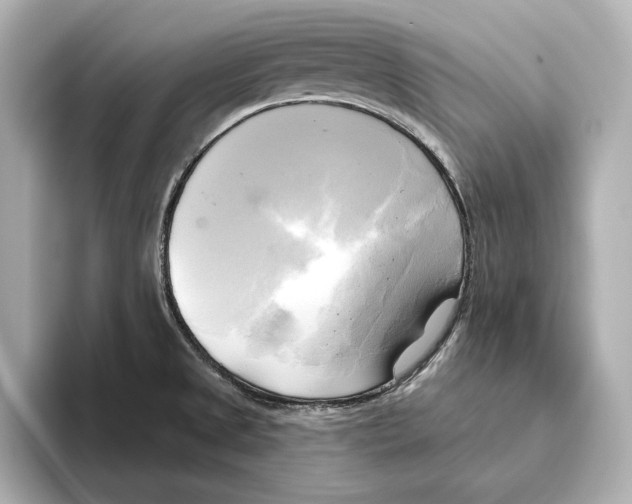 X0000095681525200802051241