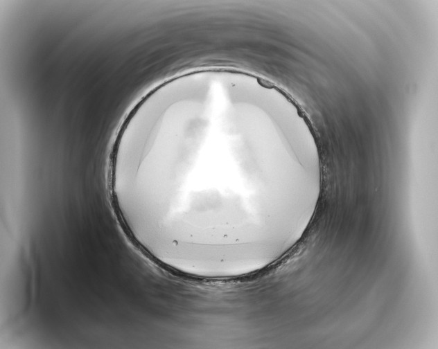 X0000095681527200802051241