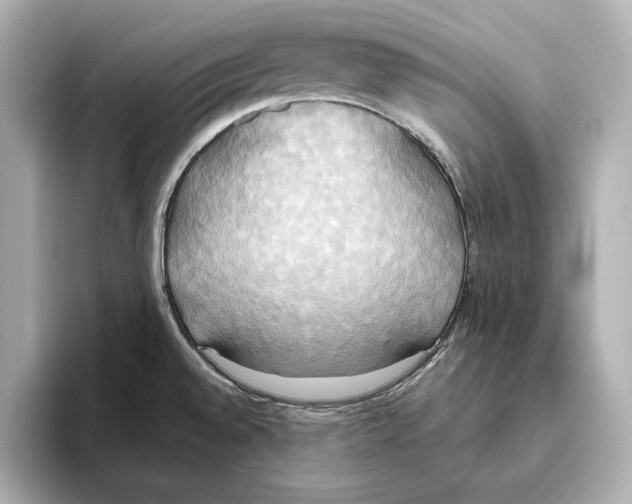 X0000095681528200802051241