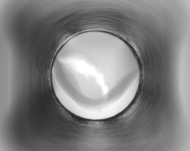 X0000095681529200802051241