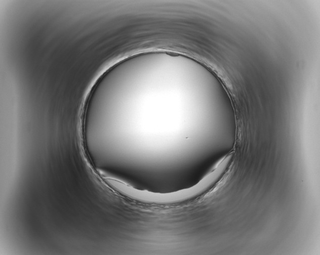 X0000095681530200802051241