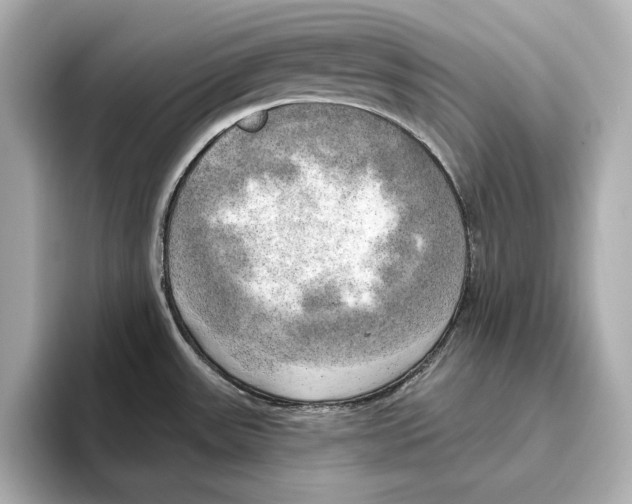 X0000095681531200802051241