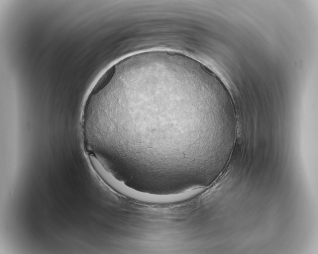 X0000095681532200802051241