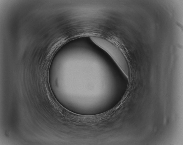 X0000095690001200801081049