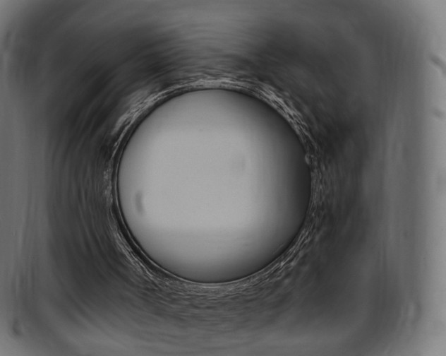 X0000095690002200801081049