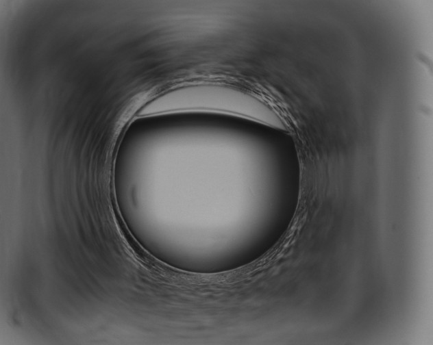 X0000095690003200801081049