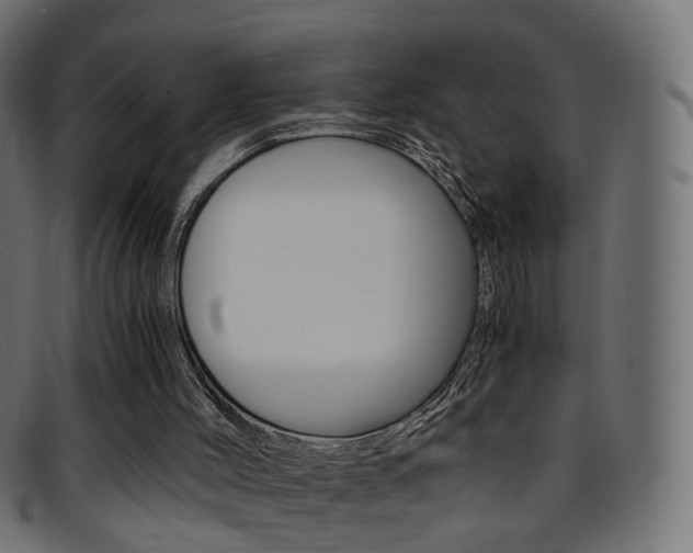 X0000095690004200801081049