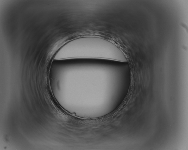 X0000095690005200801081049