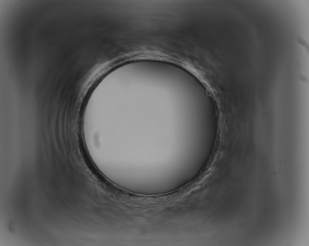 X0000095690007200801081049