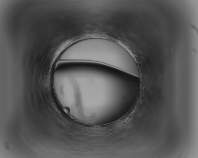 X0000095690008200801081049