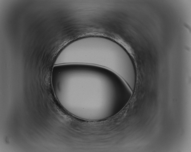 X0000095690009200801081049