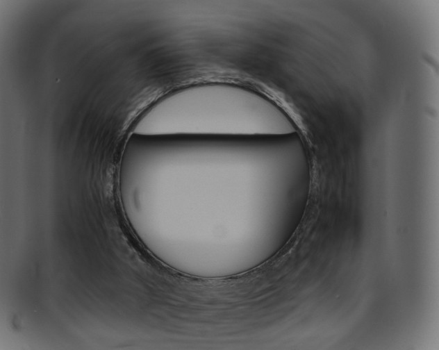 X0000095690010200801081049