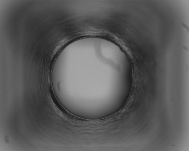 X0000095690011200801081049