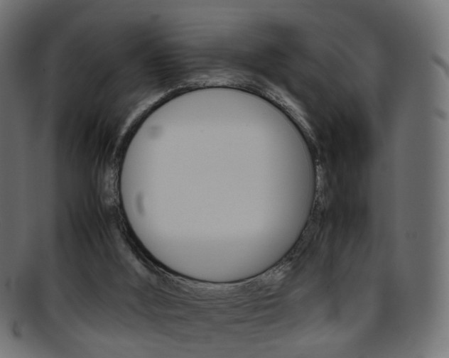 X0000095690012200801081049