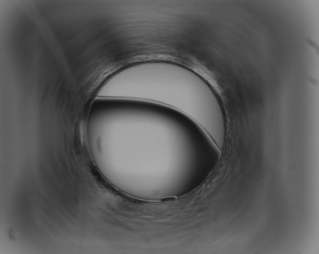 X0000095690013200801081049