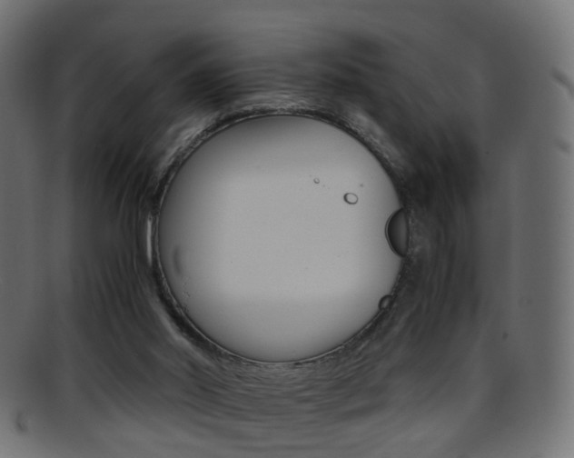 X0000095690014200801081049