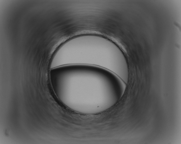 X0000095690015200801081049