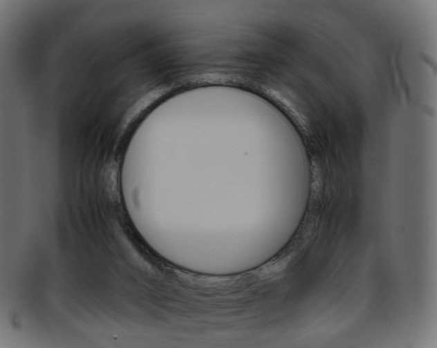 X0000095690016200801081049