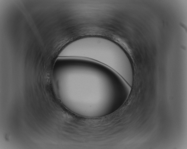 X0000095690017200801081049