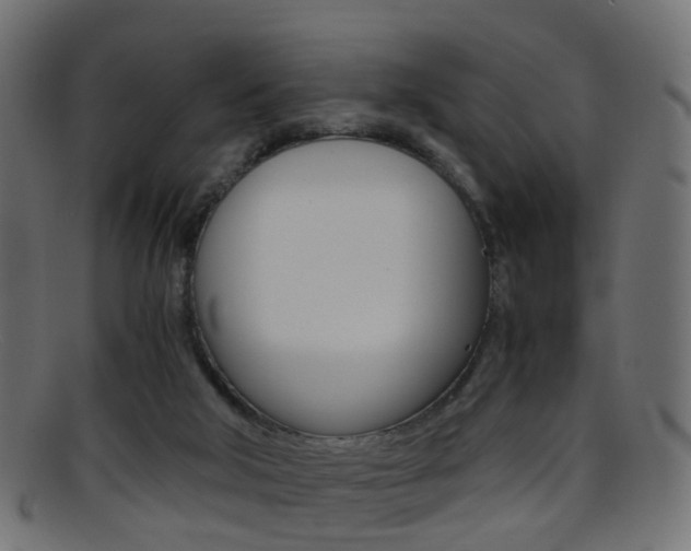 X0000095690018200801081049