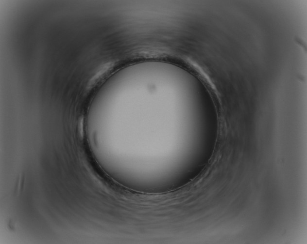 X0000095690019200801081049