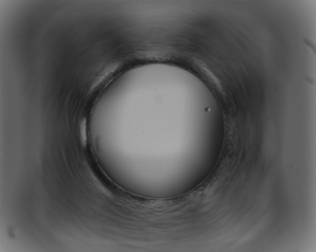 X0000095690020200801081049
