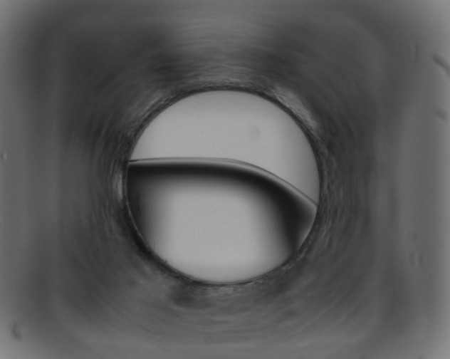 X0000095690021200801081049