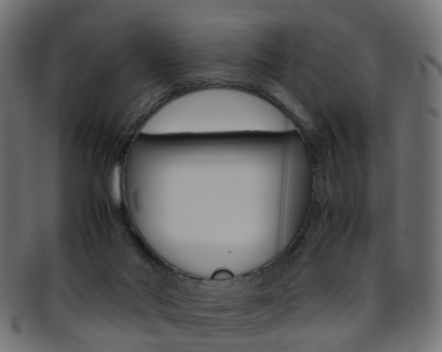 X0000095690022200801081049