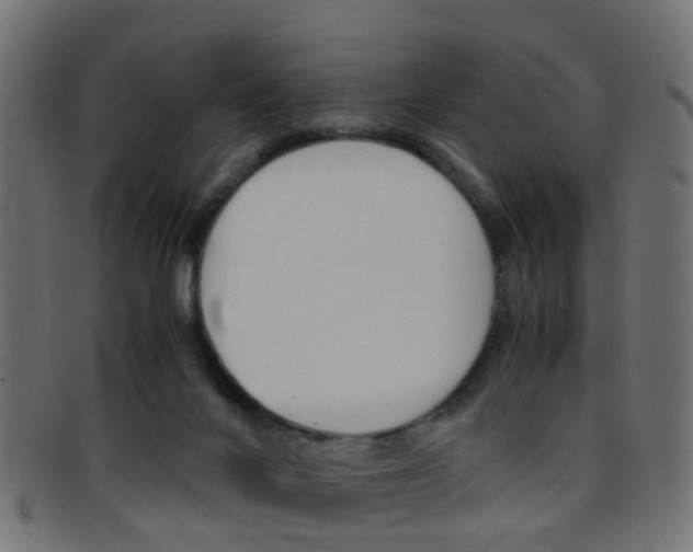 X0000095690024200801081049