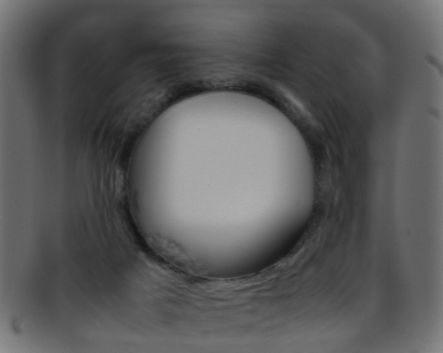 X0000095690025200801081048