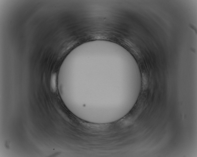 X0000095690028200801081048