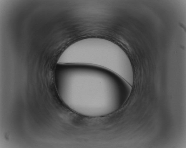 X0000095690029200801081048