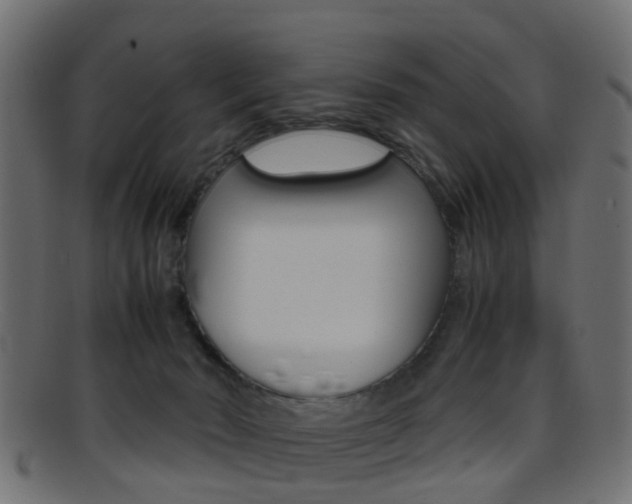 X0000095690030200801081048