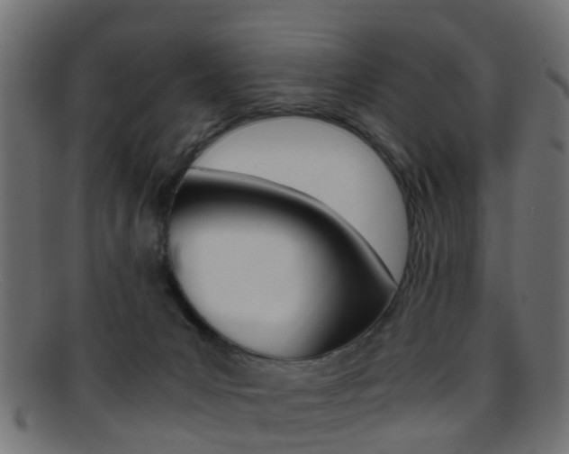 X0000095690031200801081048