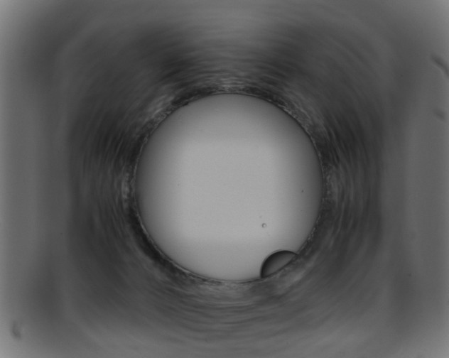 X0000095690032200801081048