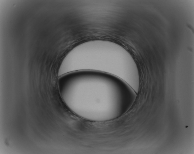 X0000095690033200801081048