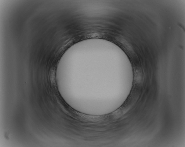 X0000095690036200801081048