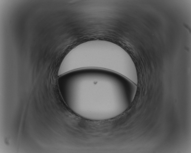 X0000095690037200801081048
