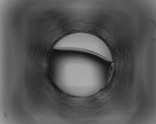 X0000095690040200801081048
