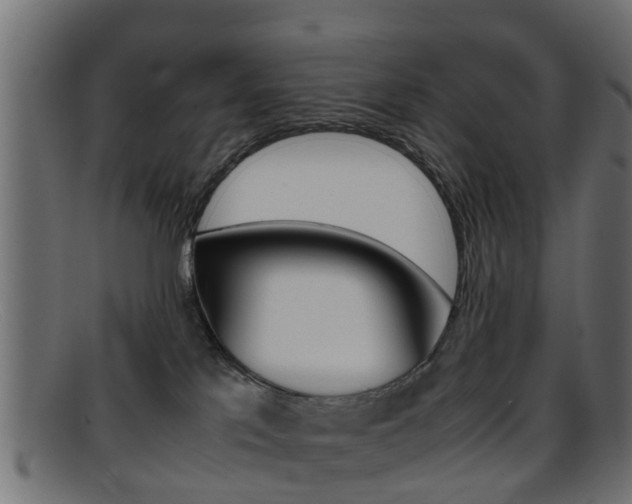 X0000095690041200801081048