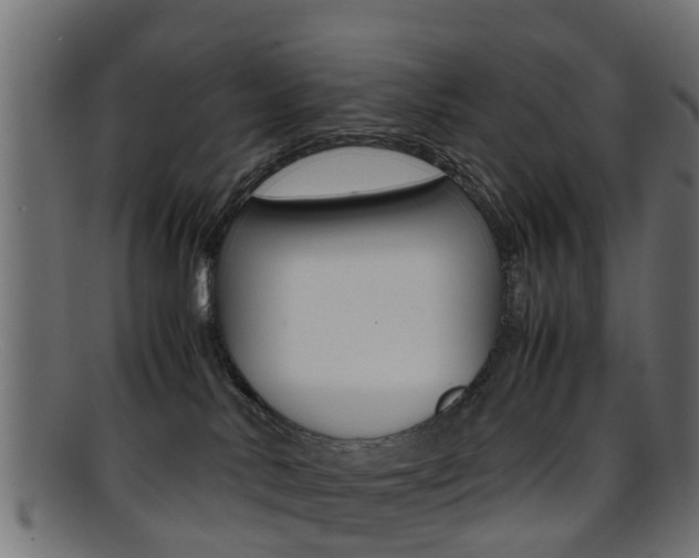 X0000095690042200801081048