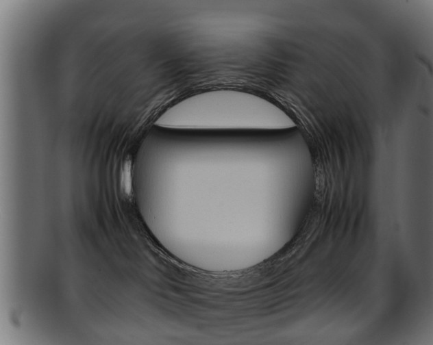 X0000095690046200801081048
