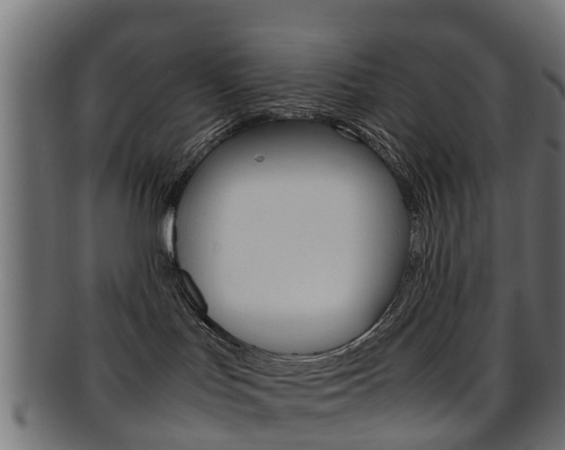 X0000095690047200801081048