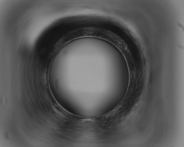 X0000095690050200801081048